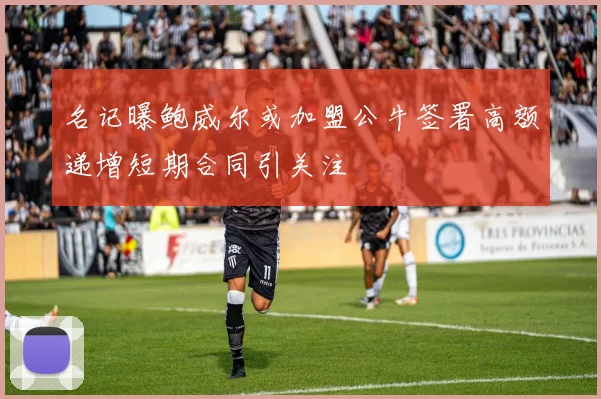 名记曝鲍威尔或加盟公牛签署高额递增短期合同引关注